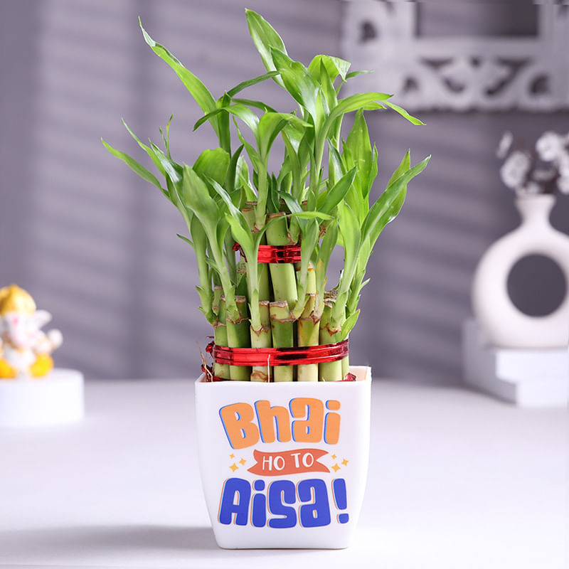 Product Image Video