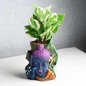 Order Tranquil Buddha Pothos Plant Combo Online 