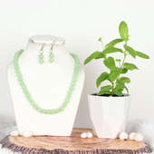 Tusli Plant N Jewellery Hamper