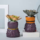 Two Artificial Succulent Plant Online with Couple Planters