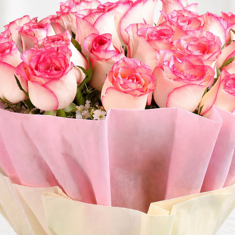 Two Dozen Pink Roses Bunch