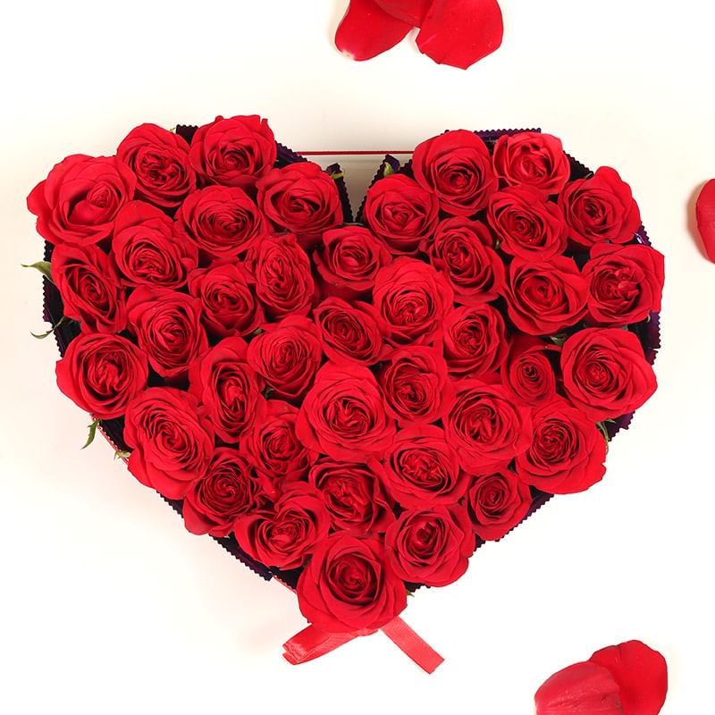 Two Hearts Delight Combo:35 Red Roses and 22 Dairy Milk Chocolates