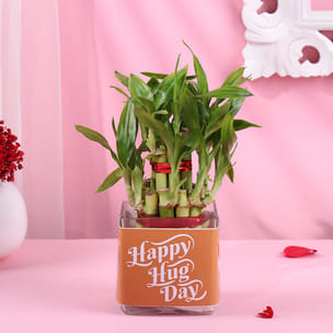 Two Layer Bamboo Plant In Happy Hug Day Pot