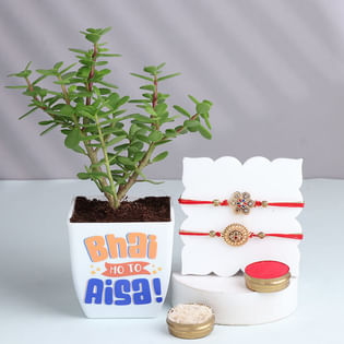 Two Sparkling Floral Rakhi With Jade Plant