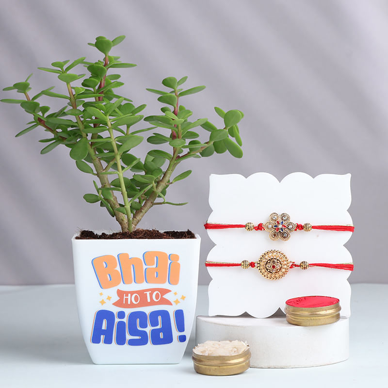 Product Image Video