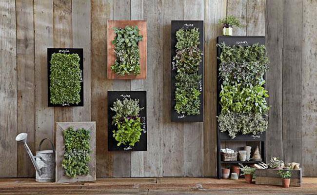 Types of Vertical Garden