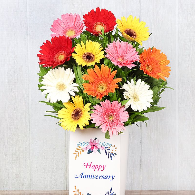 Mixed Color Gerberas in Anniversary Box in Zoomed View
