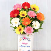 Mixed Color Gerberas in Anniversary Box in Zoomed View