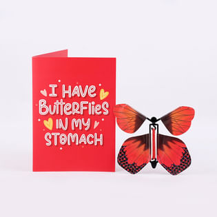V day Butterfly Greeting Card