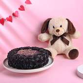 Valentine Chocolate Cake N Teddy Combo