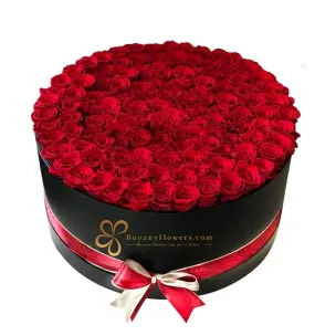 Grand Box Of Rose Elegance Grand Box Of Rose Elegance