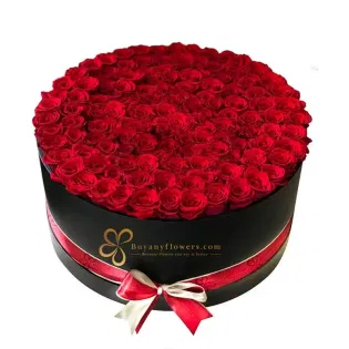 Grand Box Of Rose Elegance