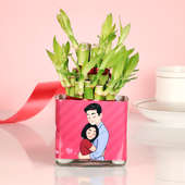 Valentine Layer Bamboo Plant Gift | Pink Vase Valentine Plant