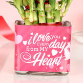 Bamboo Plant Gifts for Valentines Day