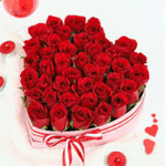 Rose Day Gifts