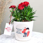 Valentine Red Carnation Plant