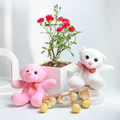 Valentine Rose Plant With Teddy Day gift