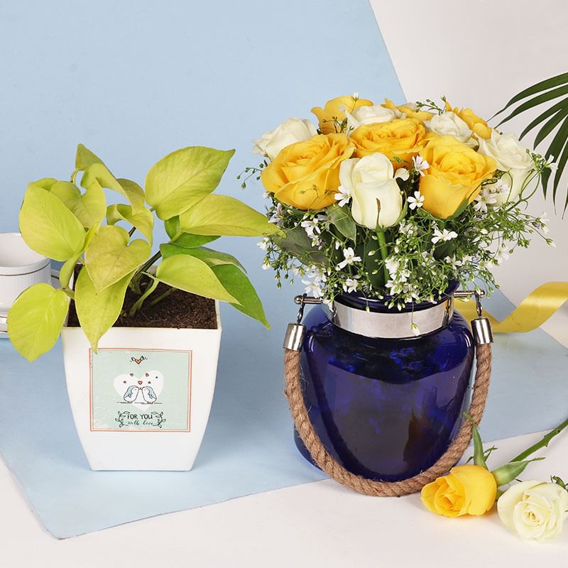 Valentines Plant And Flower Combo