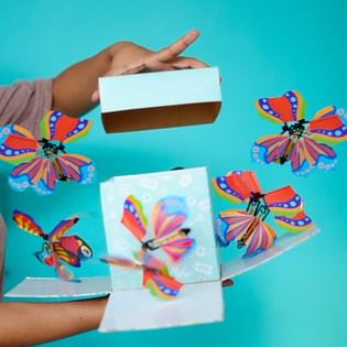 Valentines Sweet Butterfly Surprise Box