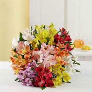 Colorful Vibrant Lily Bunch