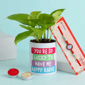 Vibrant Rakhi With Money Plant In Quirky Planter