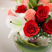 Order Vibrant Romance for Valentine