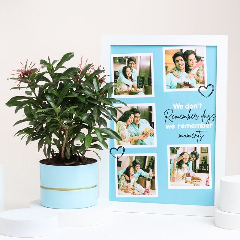 Product Image Video