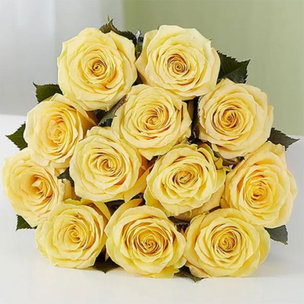 Vibrant Yellow Roses Bunch