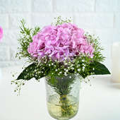 Vintage Elegance Of Pink Hydrangeas