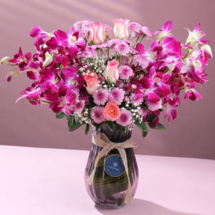 Violet Hues Of Blissful Blooms Violet Hues Of Blissful Blooms