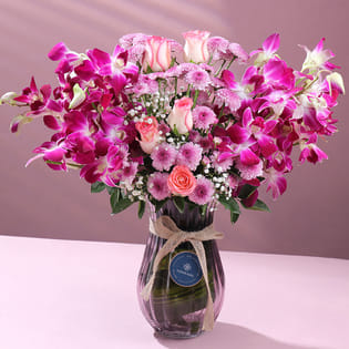 Violet Hues Of Blissful Blooms