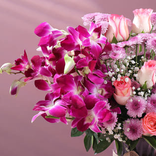 Violet Hues Of Blissful Blooms