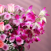 Violet Hues Of Blissful Blooms