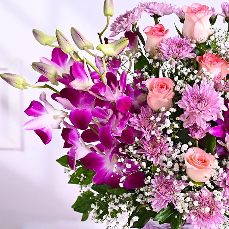 Violet Hues Of Blissful Blooms