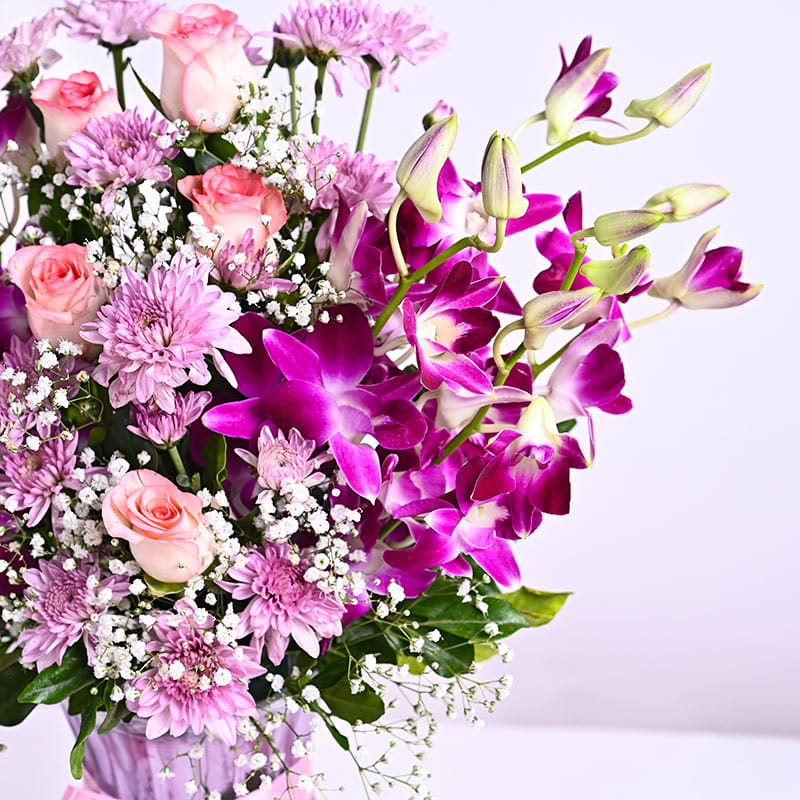 Violet Hues Of Blissful Blooms