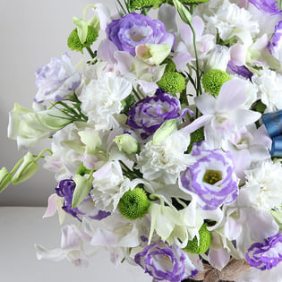 Violet Poetry In Petal Language