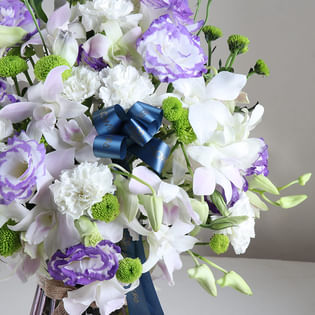 Violet Poetry In Petal Language