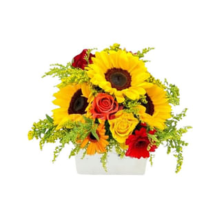 Vivid Blooms Square Delight