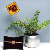 Good Luck Outdoor Bamboo Plant with Orchid Metal Vase and One Designer Rakhi