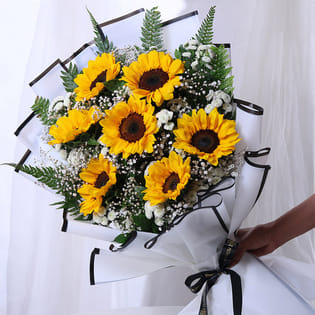 When Sunshine Meets Affection