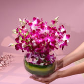 Where Orchids Echo Joy