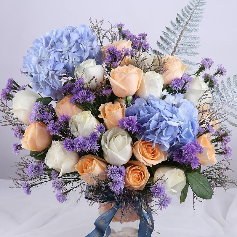 Where Snow Meets Spring