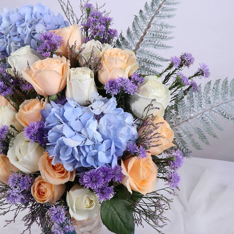 Where Snow Meets Spring