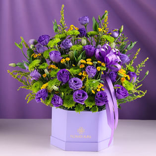 Where Twilight Meets Morning Glow