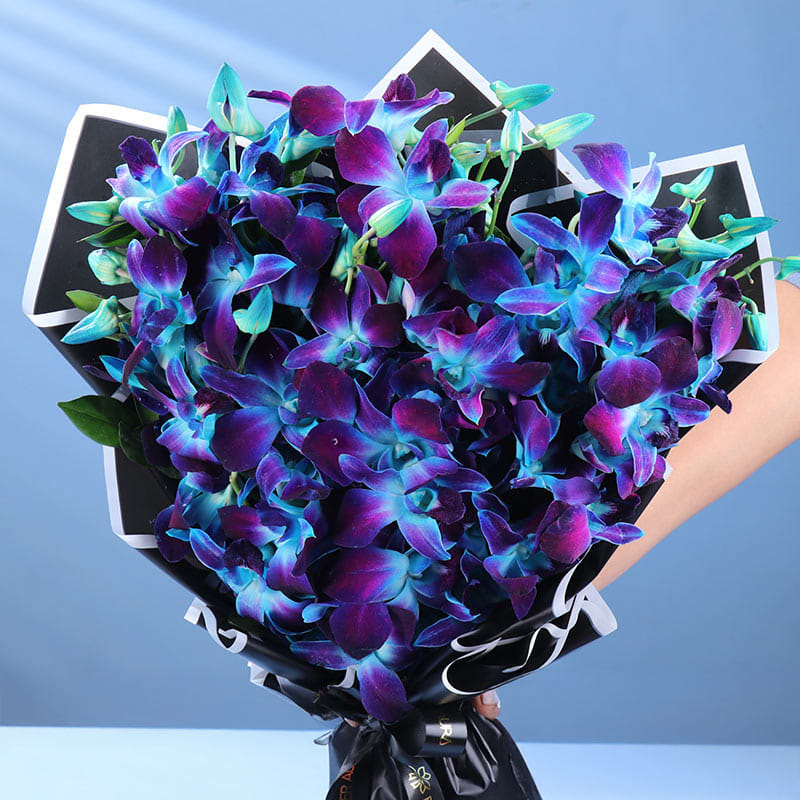 Whispering Enchantment