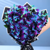 Whispering Enchantment