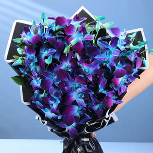 Whispering Enchantment