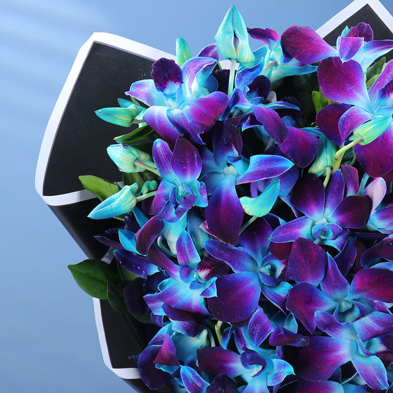 Whispering Enchantment