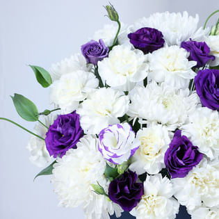 Whispers Of Royal Serenity