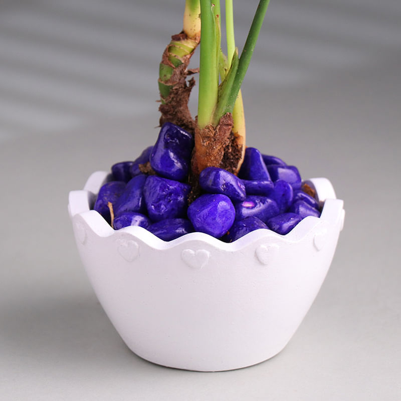 Product Image Video
